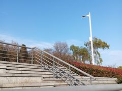 -羊山湖公园
