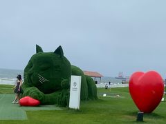 -秦皇岛阿尔卡迪亚滨海度假酒店