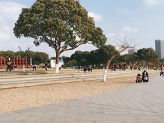 -暨阳湖生态园