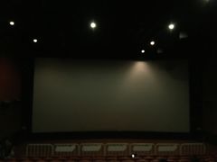 -卢米埃影城(苏州园区华润杜比全景声激光店)