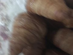 -味多美蛋糕(阜成门店)