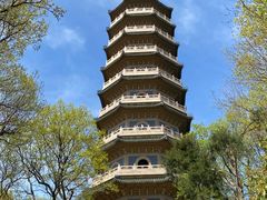 -灵谷景区