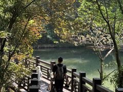-白马涧龙池景区