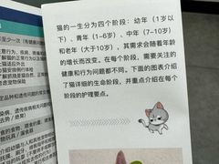 -凯特喵百思猫专科医院