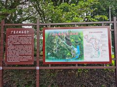 -广东大峡谷