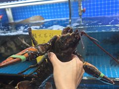 -醉壹号海鲜大排档·老厦门特色菜(厦门美食地标店)