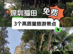 -深圳国际园林花卉博览园