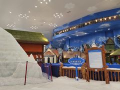-湘江欢乐城欢乐雪域
