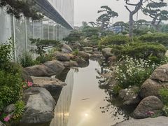 -罗红摄影艺术馆