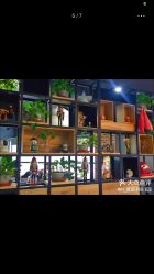 -刺客纹画纹身·洗纹身·穿孔饰品