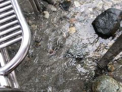 -虹口漂流