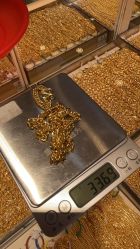 -金旭祥黄金(福州特艺城店)