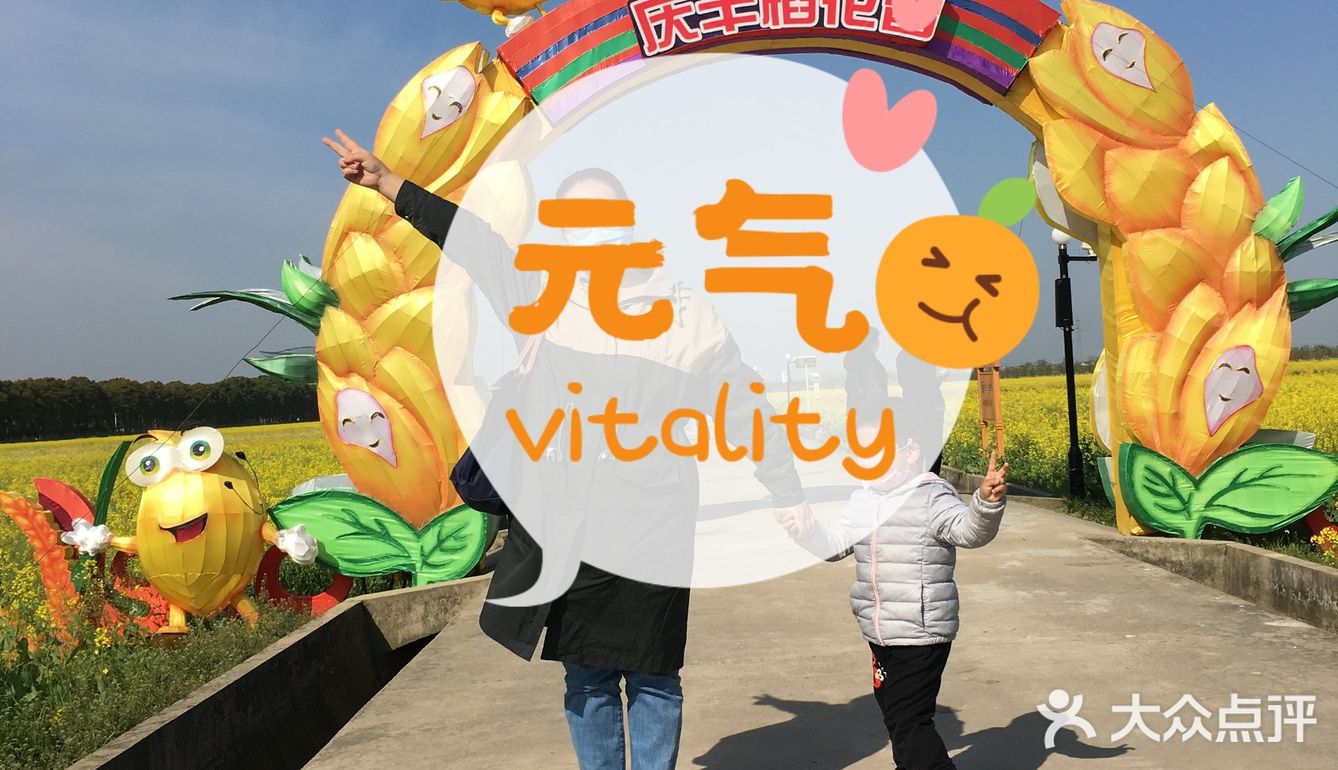 苏南第一方，庆丰稻花香