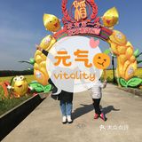 苏南第一方，庆丰稻花香