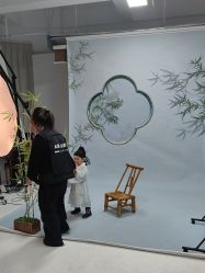 -大树儿童摄影