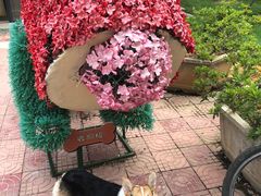 -武汉紫薇都市田园