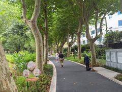 -和平公园