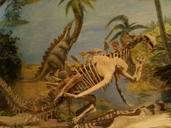 android_upload_pic-自贡恐龙博物馆