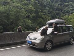 -西岭雪山大飞水景区