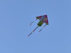 -莫子山公园