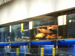 -长禧家·珑厨(东山口店)