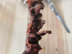 -铁诚烤肉