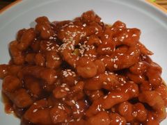 -九毛九西北菜(大东海店)