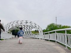 -同里国家湿地公园