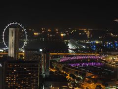 -新加坡瑞士史丹福酒店