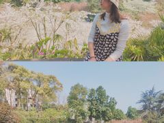 -南山植物园