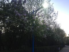 -森林公园(尖草坪区)