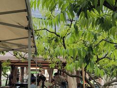 -玫瑰庄园·自助烧烤·烤全羊·团建拓展(龙泉山店)