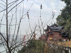 -龙泉洞(沙坪坝区)