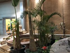 -白桦林温泉谷