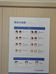 -碧莲盛不剃发植发