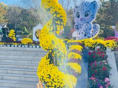 -青藏高原野生动物园