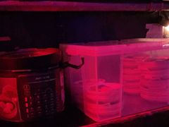 -蘭奢雅集·江浙菜(青山江滩店)