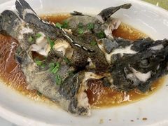 广式蒸老虎斑-渔中舟海鲜大排档(普陀沈家门店)