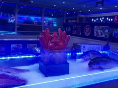 -海韵之星邮轮水会(明发商业广场店)