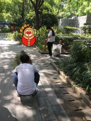 点击看大图 -BabyA 专业婴童摄影(古北时尚广场店)