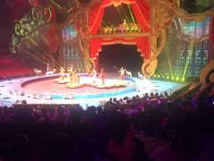 -珠海横琴长隆《卡卡虎奇遇记》