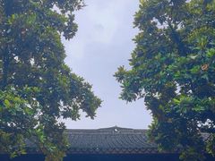 -太平天国侍王府