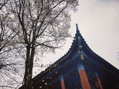 -水西公园