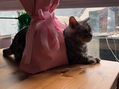 -VOYAGE COFFEE(北锣鼓巷店)