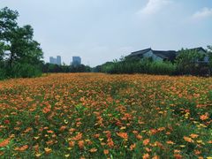 -石湖景区