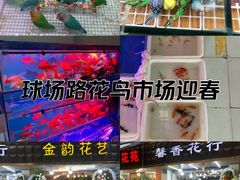 -武汉花鸟市场