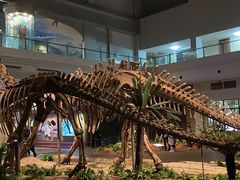 -自贡恐龙博物馆