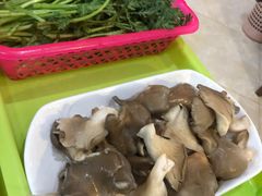 -15年老字号鑫鑫猪肚鸡·椰子鸡海南火锅(兴隆华侨农场店)