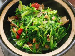 咸鱼口条煲-旧款宁波饭店(华敏世纪广场店)