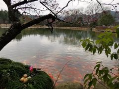 -杭州六谷生态休闲农庄有限公司